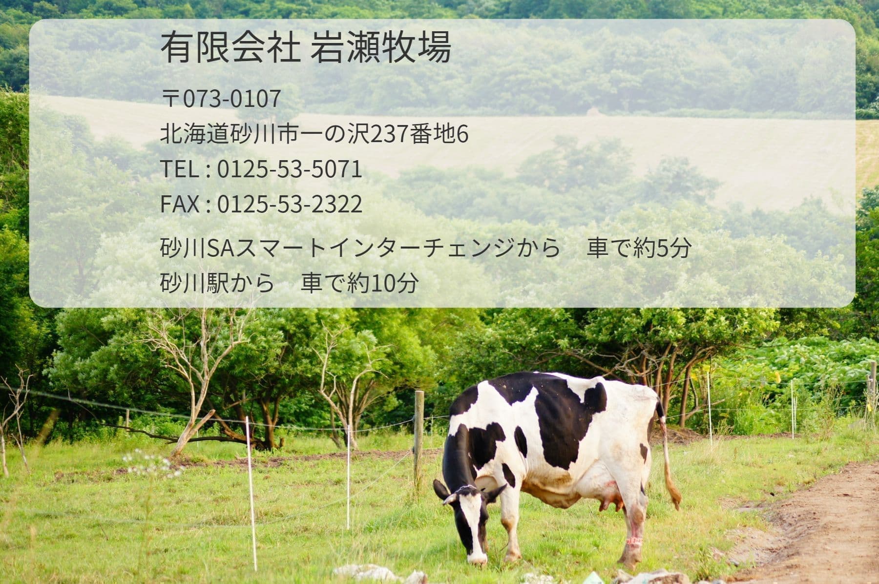 company-info