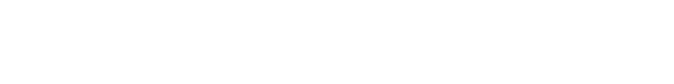 rivista-access